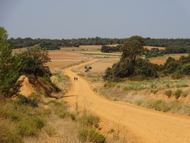 Camino Frances